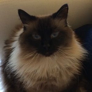 Meet your Posher, Marlena